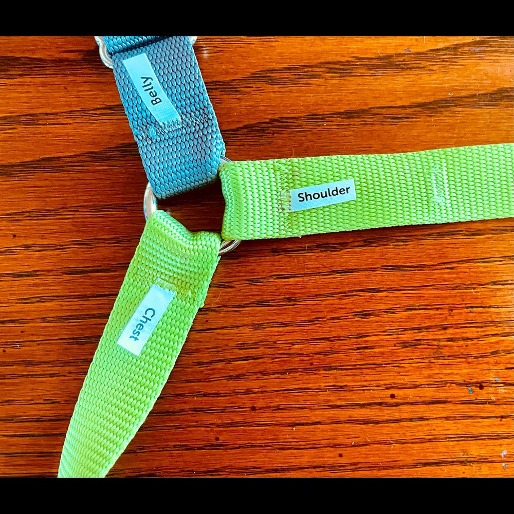 Pet Safe Easy Walk No~Pull Harness image 2